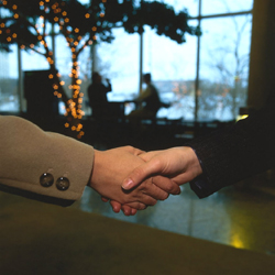 Professional handshake